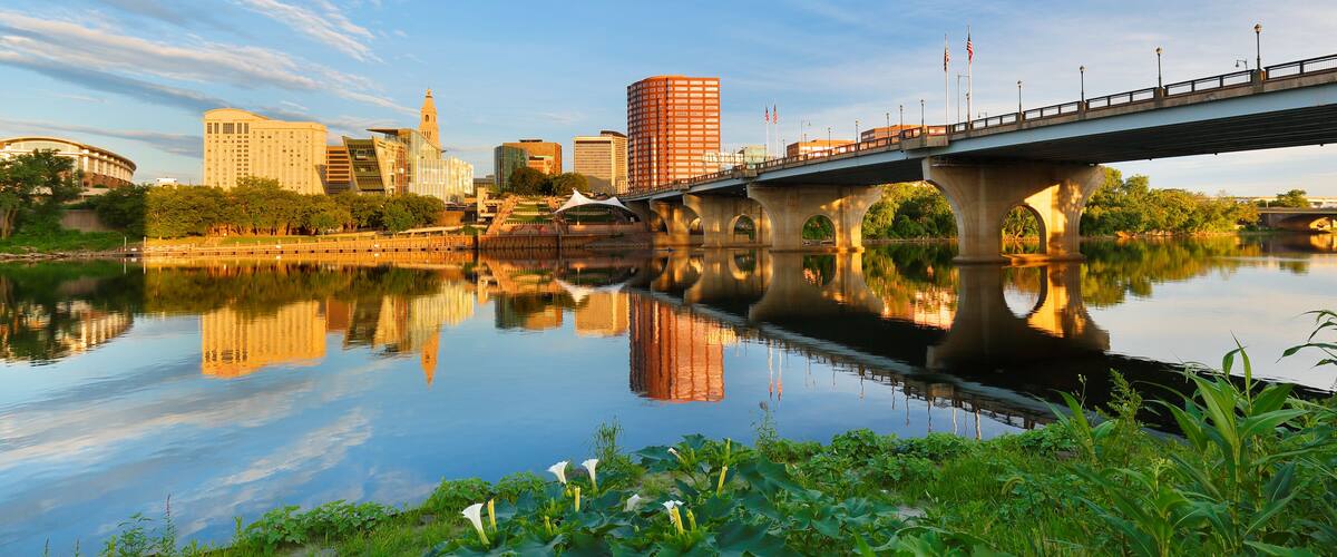 A river with a bridge, city buildings, and lotus plants.