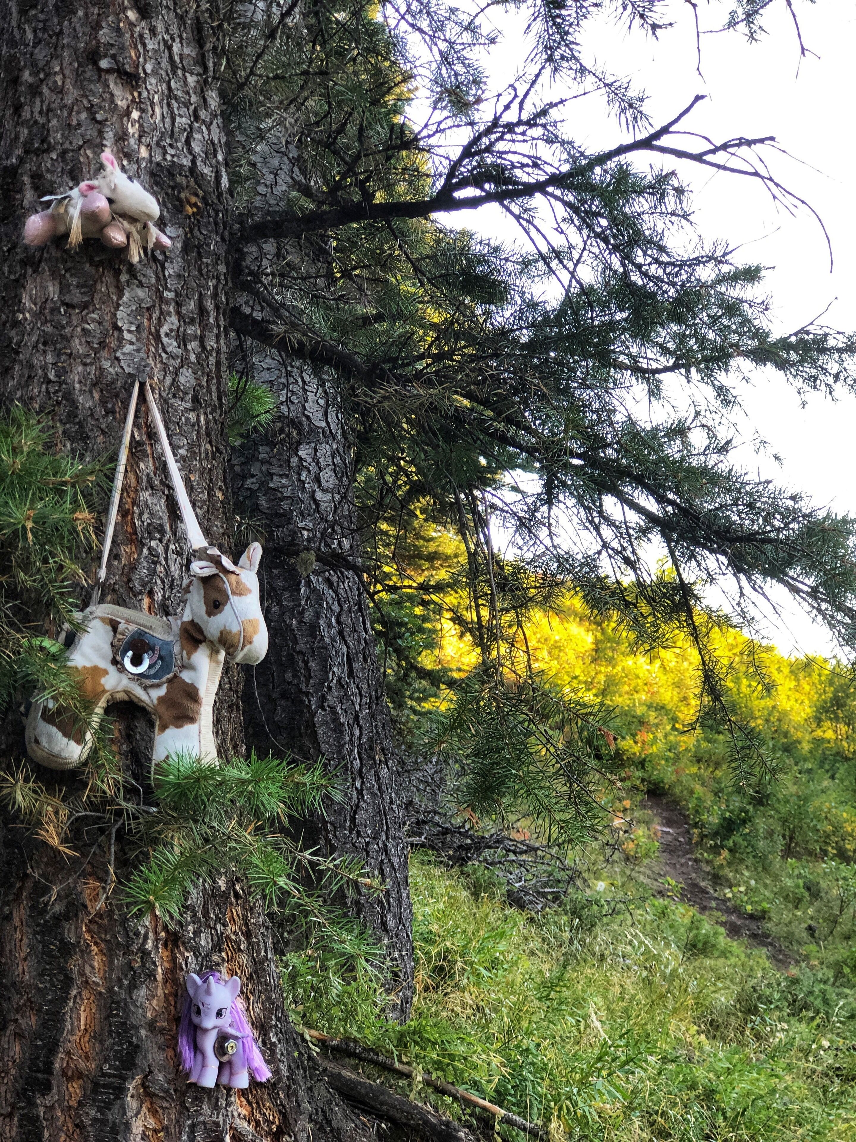 A mystery?
#Adventure