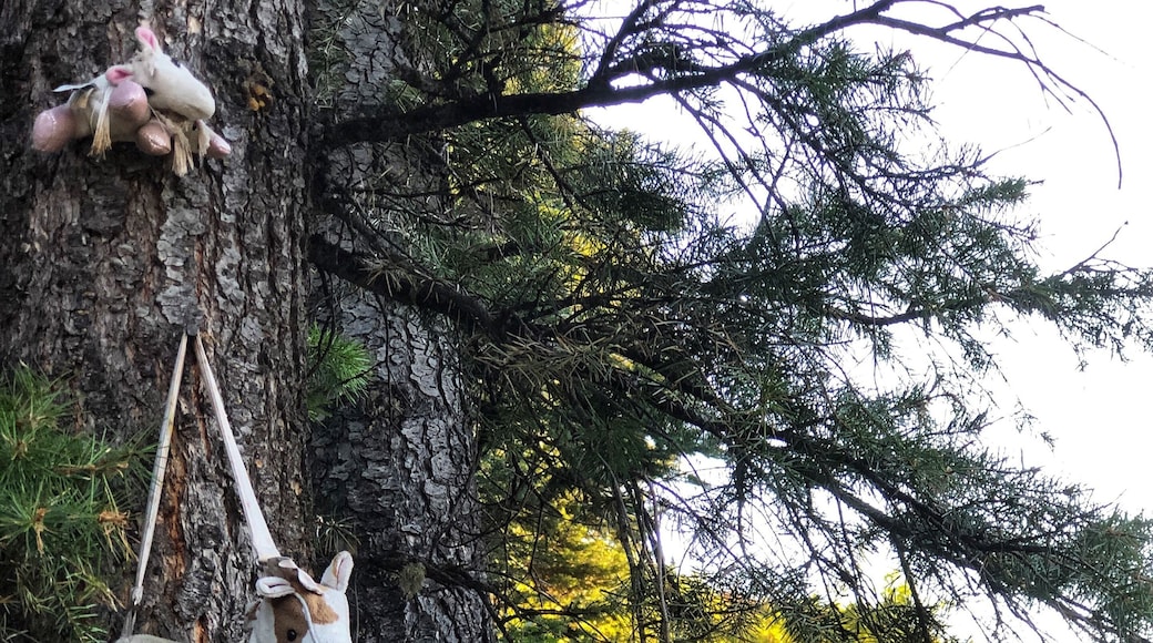 A mystery?
#Adventure