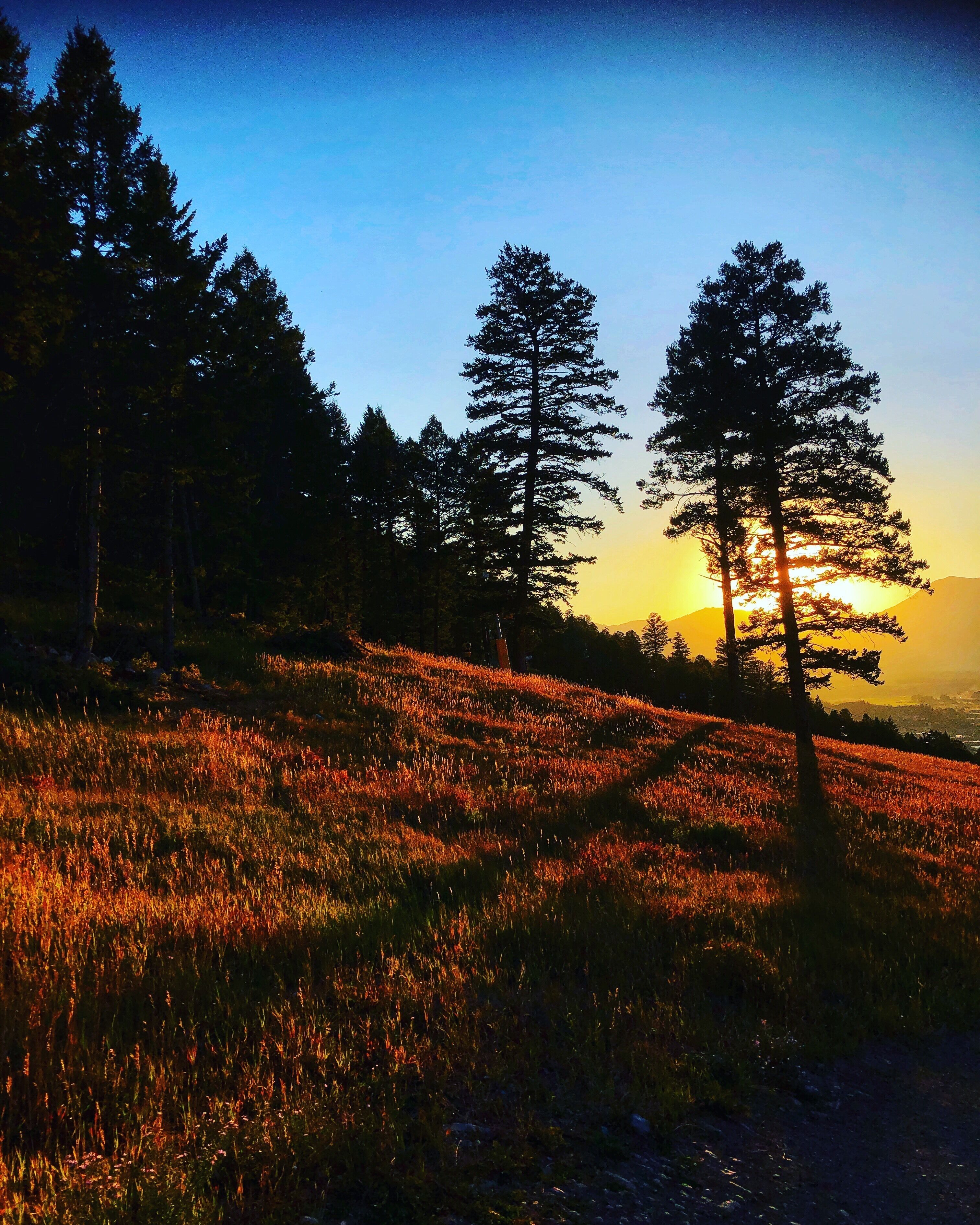 End of the day. 
#Adventure