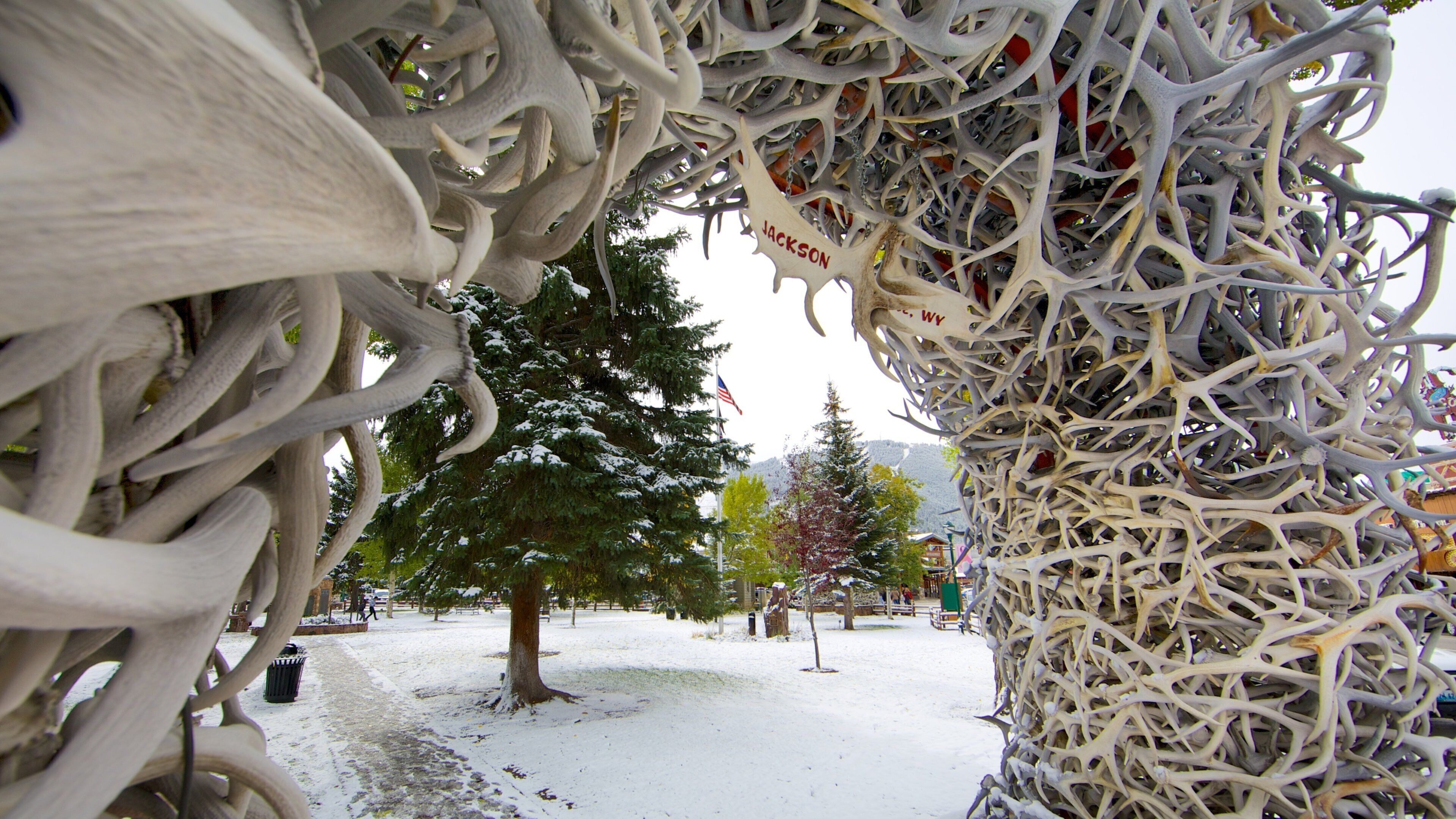 Jackson Hole featuring snow, a park and outdoor art