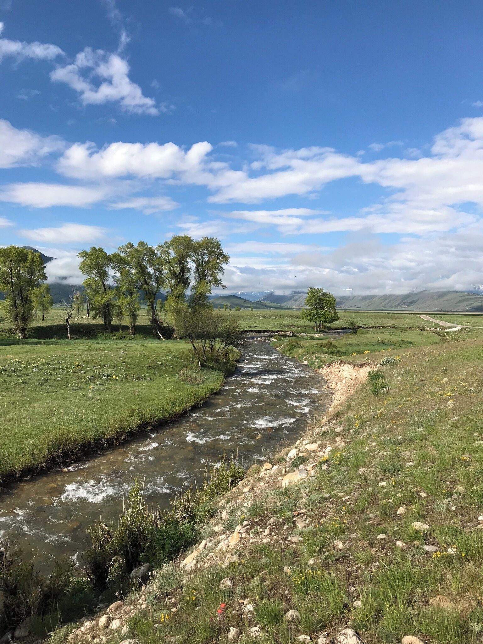 Not too far outside Jackson, WY you can find the National Elk Refuge.  The drive down Elk Refuge Road makes for a beautiful side trip on your way into Grand Teton National Park.  When we were there, Mom and I spotted some unique wildlife like a badger, yellow bellied marmot, coyote and bighorn sheep while we soaked up the breathtaking scenery that surrounded us. #Wyoming #NationalPark