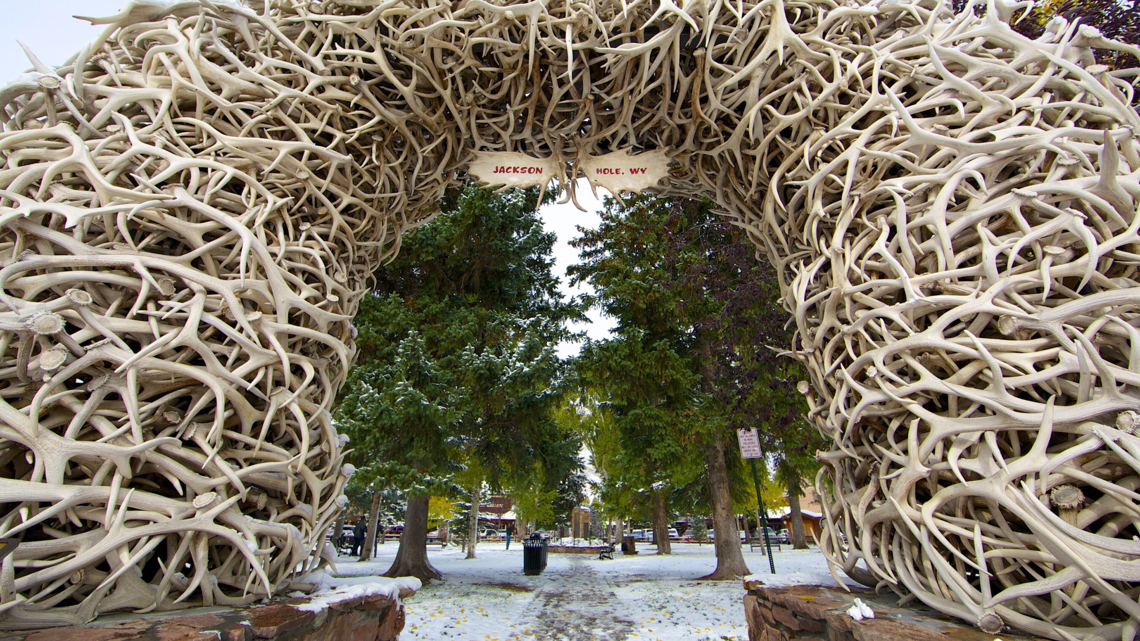 A large arch made of antlers in a park with trees and a sign that reads "Jackson Hole, WY".