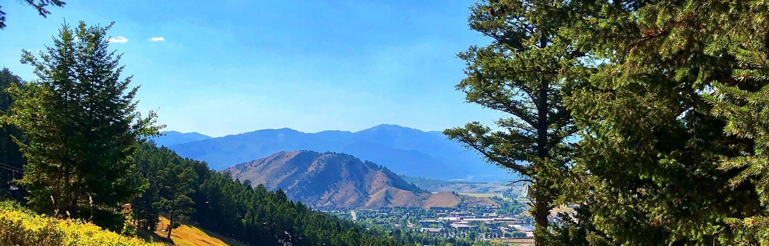 Starting up!
#Adventure