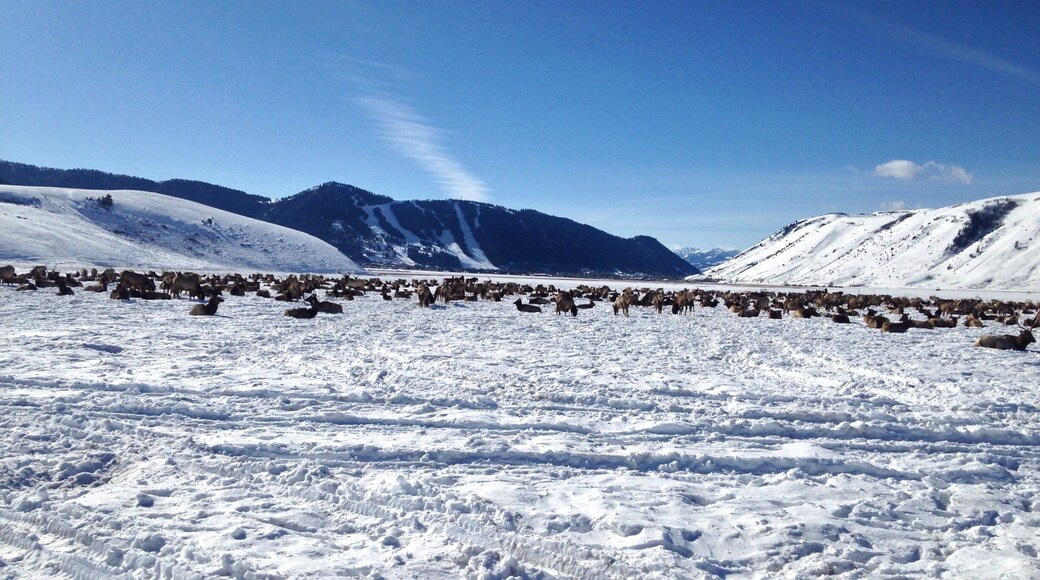 Jackson Hole in the winter is beautiful! These views don't lie!