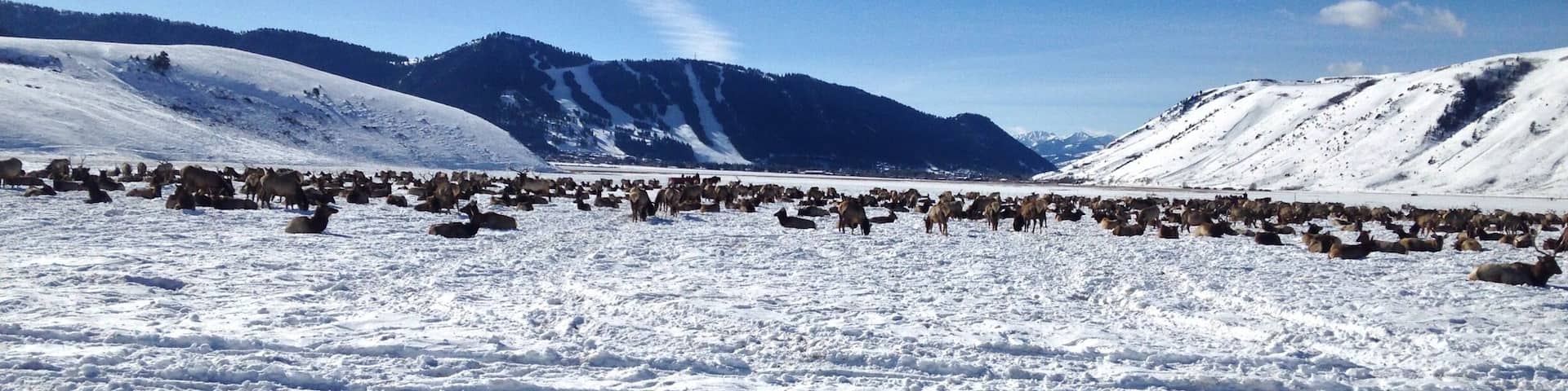 Jackson Hole in the winter is beautiful! These views don't lie!