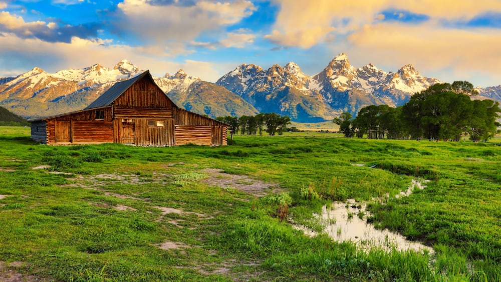 A wooden barn in a grassy field with a mountain range in the background.