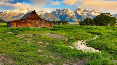 Un granero de madera en un campo verde con una cadena montañosa al fondo.