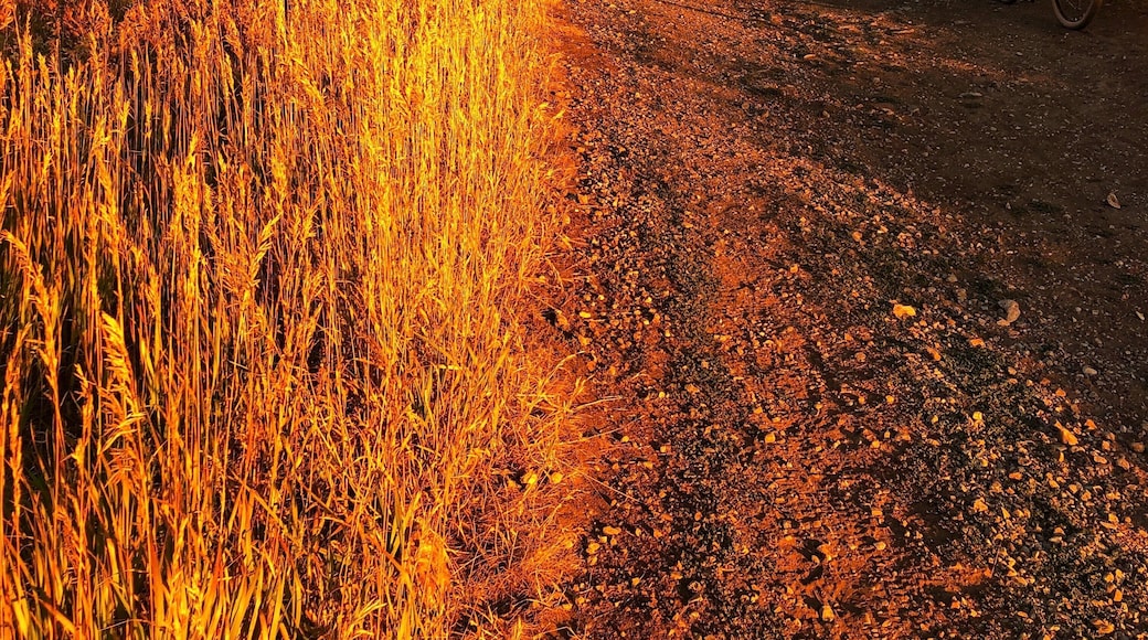 Sometimes you have to ride up the mountain.
#Adventure