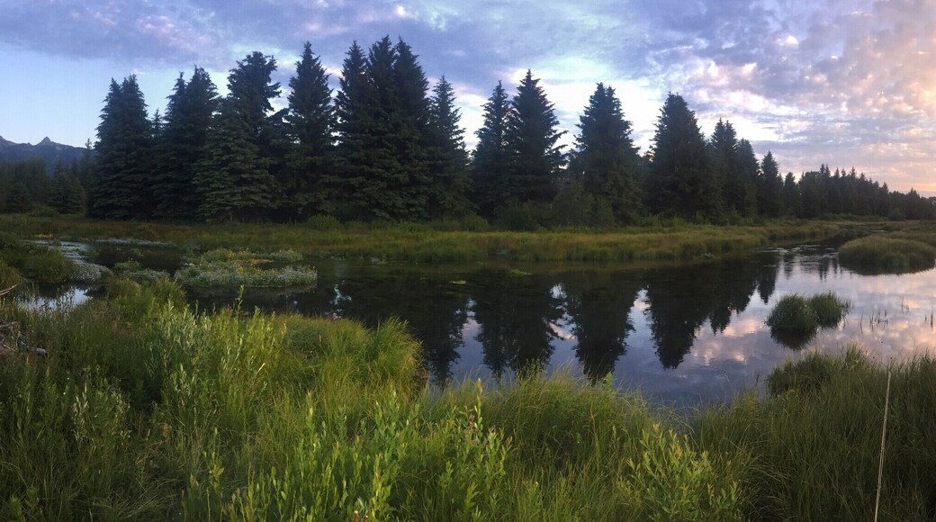 When you visit Jackson Hole, be sure to hit the trails before sunrise, you can find some solitude, stunning scenery, and for the fly fisherman, some of the worlds best trout streams.. #LifeAtExpedia