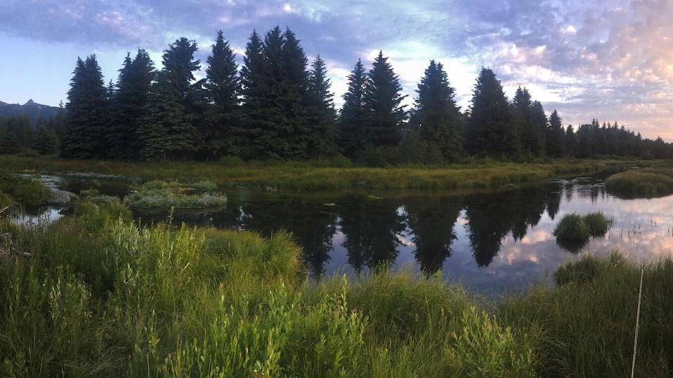 When you visit Jackson Hole, be sure to hit the trails before sunrise, you can find some solitude, stunning scenery, and for the fly fisherman, some of the worlds best trout streams.. #LifeAtExpedia