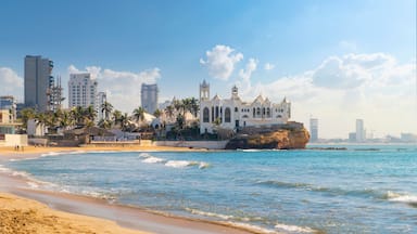 A coastal cityscape with a prominent white church, palm trees, and modern buildings.