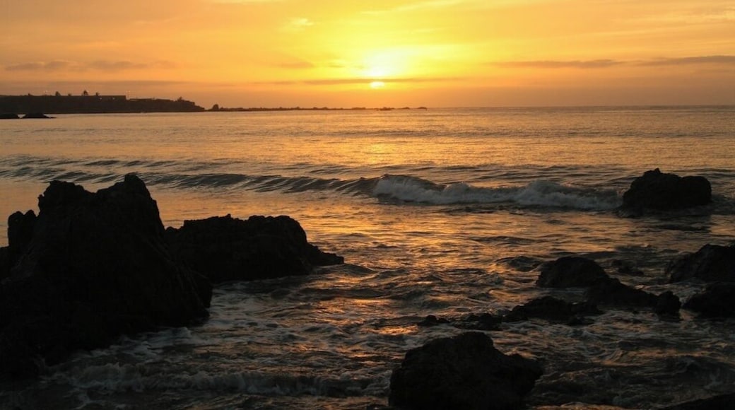This resort was off the beaten path and perfect for a quiet, romantic getaway or just a quiet escape to spend lazy days at the pool reading a book or strolling the beach. The seabirds here were amazing. We saw so many different species of sea birds and spent hours taking photos of them as well as the beautiful sunsets. Mazatlan, Mexico Sunset on the Beach - March 2008
#GoldenHour
#waterlust