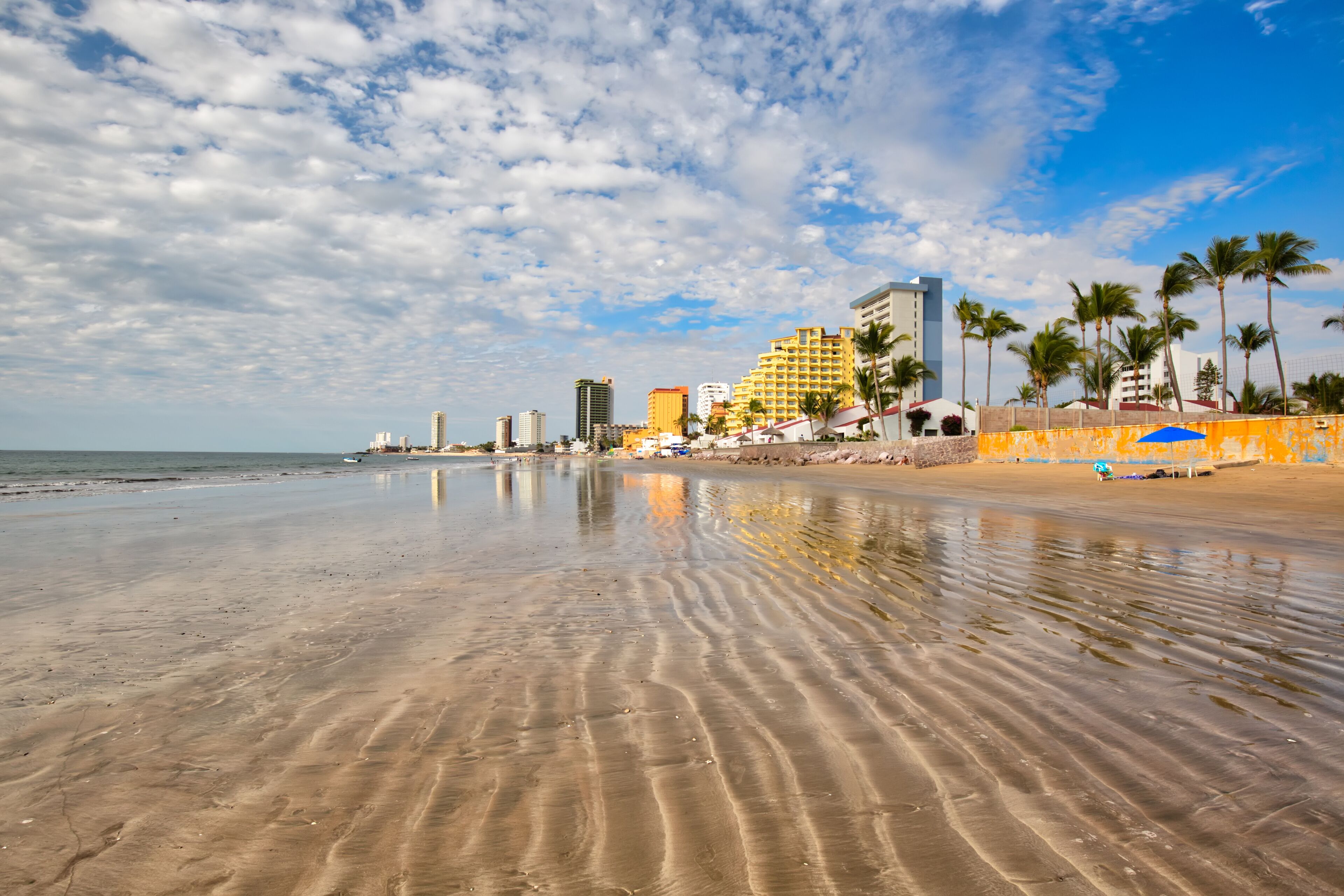 A beach with a sandy shore, palm trees, and buildings in the background.