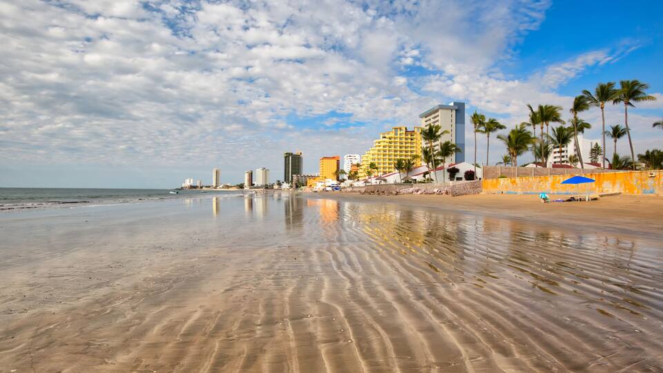 A beach with a sandy shore, palm trees, and buildings in the background.