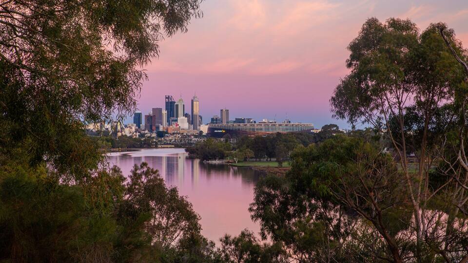 A city skyline with modern buildings and a stadium, surrounded by trees and a body of water.