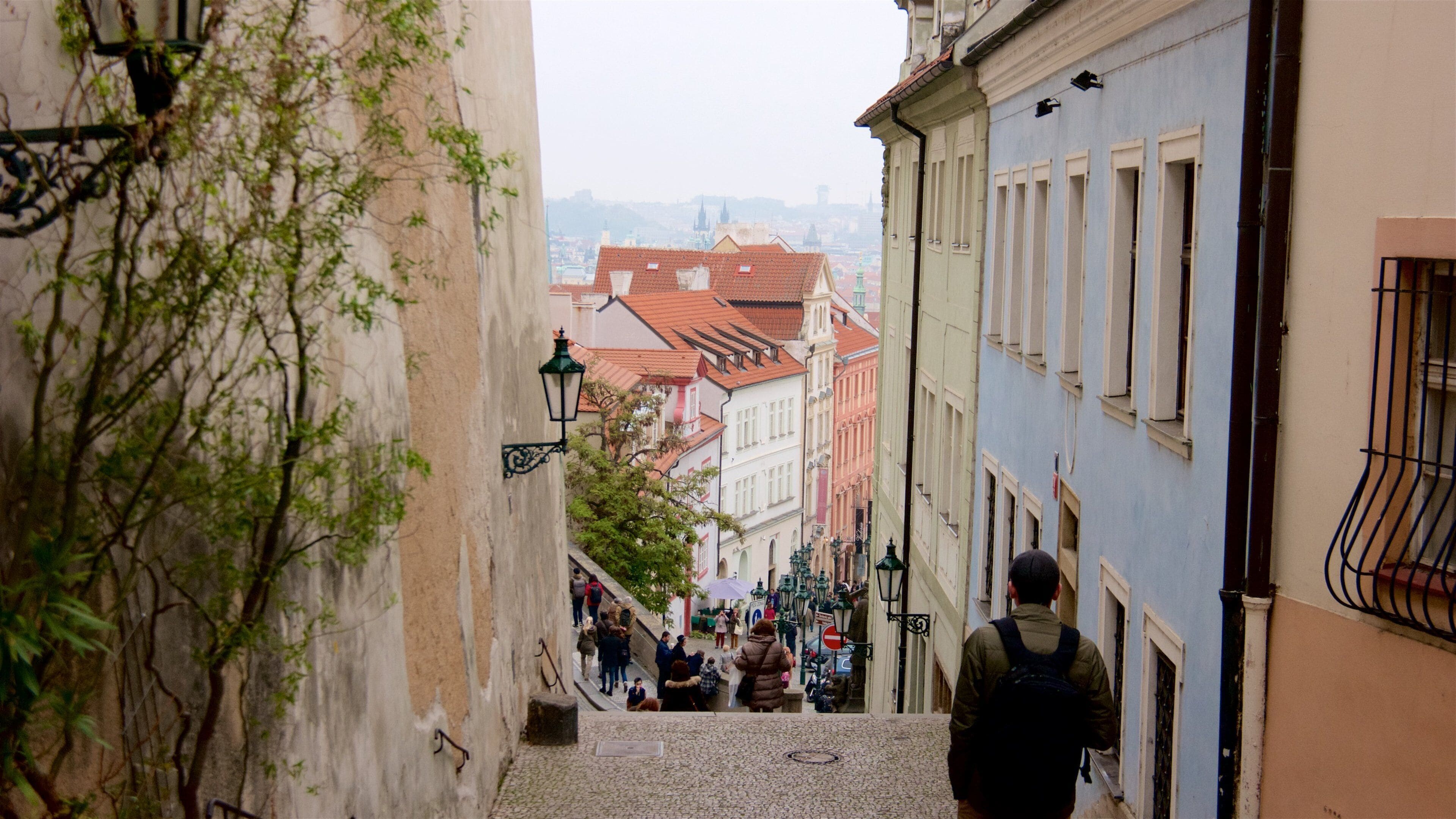 Prag welches beinhaltet Geschichtliches sowie einzelner Mann