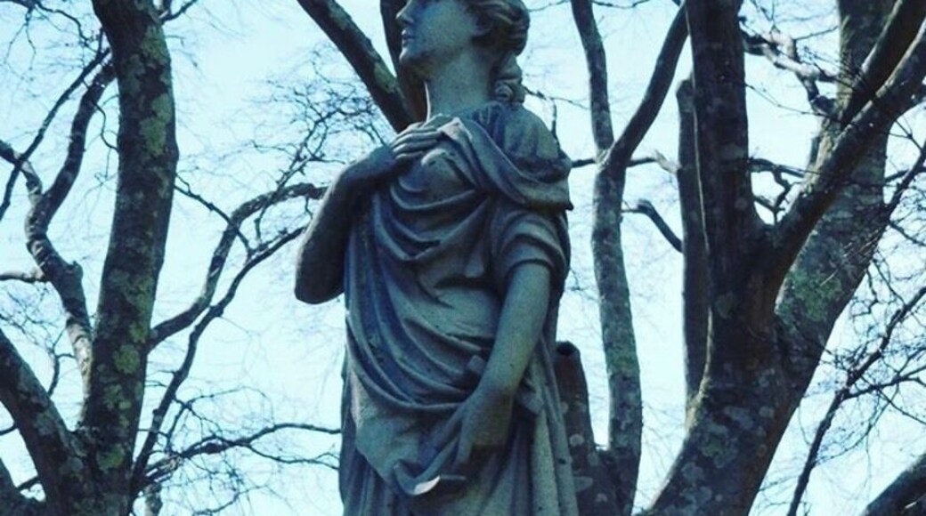 Mourning lady among the trees. Try the Halloween ghost walk.