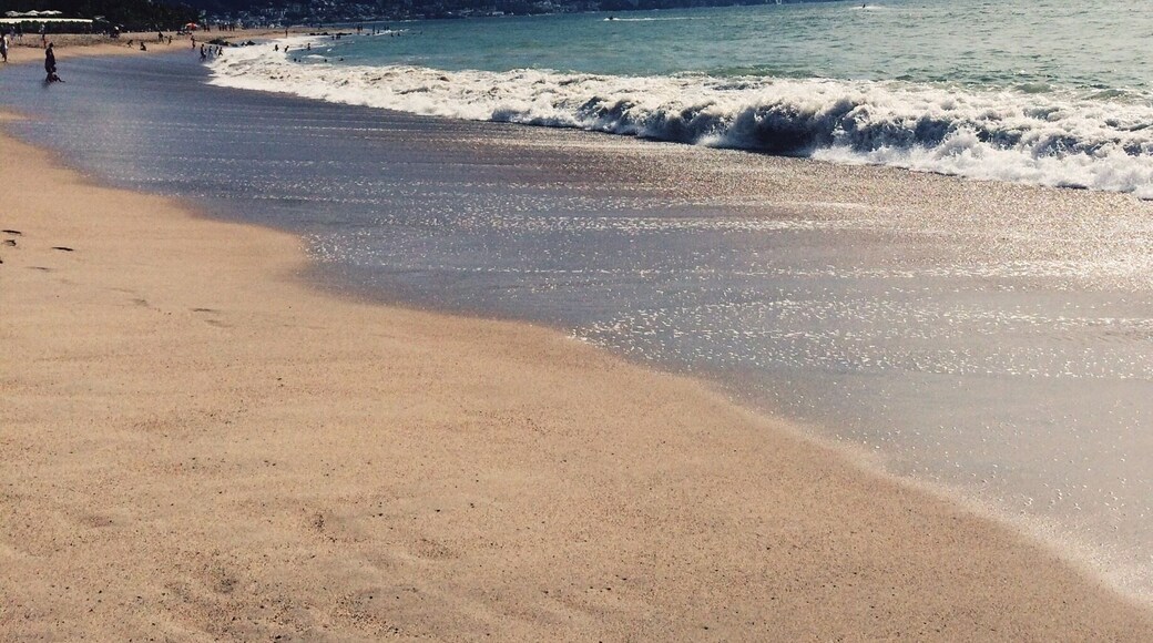 The beaches in Puerto a Vallarta, Mexico, are a must see! From the bustling tourist beaches to the secluded resort beaches, they are a sight to see. Don't miss the #beach!