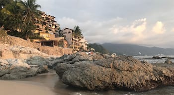 Discovered it as I was walking along the coast