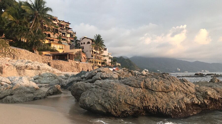 Discovered it as I was walking along the coast