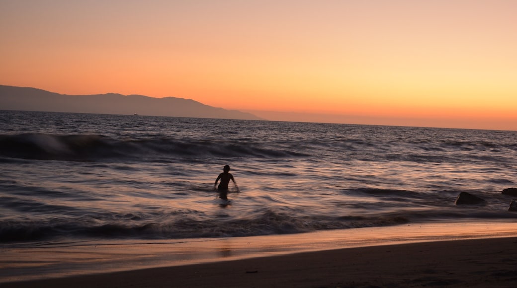 Puerto Vallarta has many different beaches, and while my favorites for swimming happen to be on the southside of the bay in Punta Negra & Mismaloya, the beach in the Marina is perfect. There is public access along side the bayview grand complex and a nice long walk down to the Westin. At high tide there are some areas where you may get your feet wet though! If you find yourself heading the opposite direction (perhaps for a sea turtle release) on the beach during the rainy reason be sure to keep your eye out for crocodiles!
#lifeatexpedia