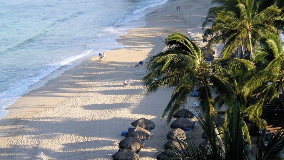 A beach with palm trees, beach umbrellas, and a rocky coastline.