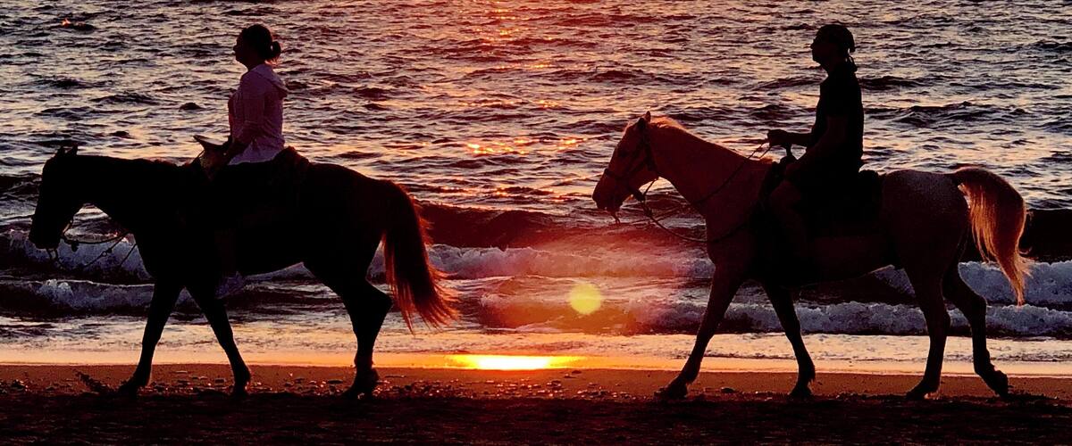 Sunset in Puerto Vallarta, Mexico. I looked up to see the horses and riders passing by on the beach as the sun was setting. I don’t think I could have staged this shot any better! PV is full of wonderful welcoming people, and I would recommend it to anyone looking for a warm place to get away