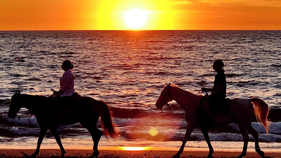 Sunset in Puerto Vallarta, Mexico. I looked up to see the horses and riders passing by on the beach as the sun was setting. I don’t think I could have staged this shot any better! PV is full of wonderful welcoming people, and I would recommend it to anyone looking for a warm place to get away
