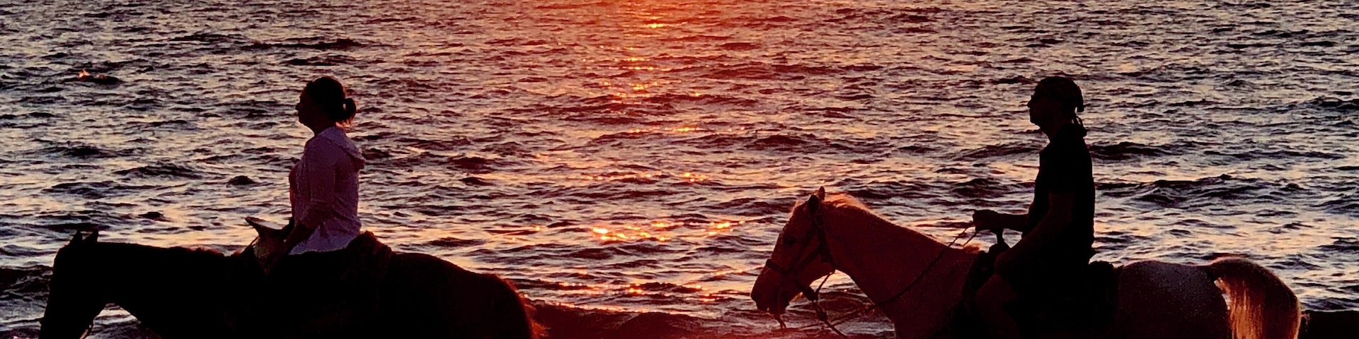 Sunset in Puerto Vallarta, Mexico. I looked up to see the horses and riders passing by on the beach as the sun was setting.  I don’t think I could have staged this shot any better!  PV is full of wonderful welcoming people, and I would recommend it to anyone looking for a warm place to get away