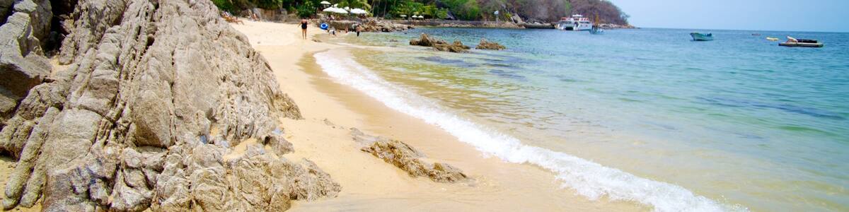 Puerto Vallarta montrant plage de sable, baie ou port et scènes tropicales