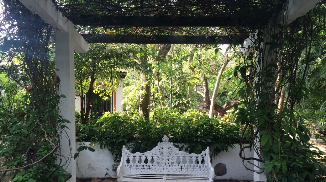 Exploring Puerto Vallarta's neighborhoods
#islacuale
#puertovallarta
#mexico