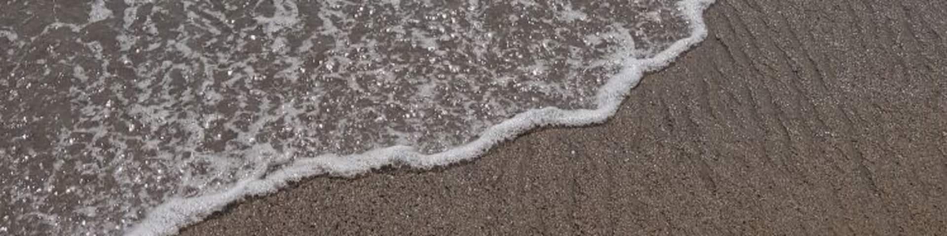 Beach at hacienda buenaventura