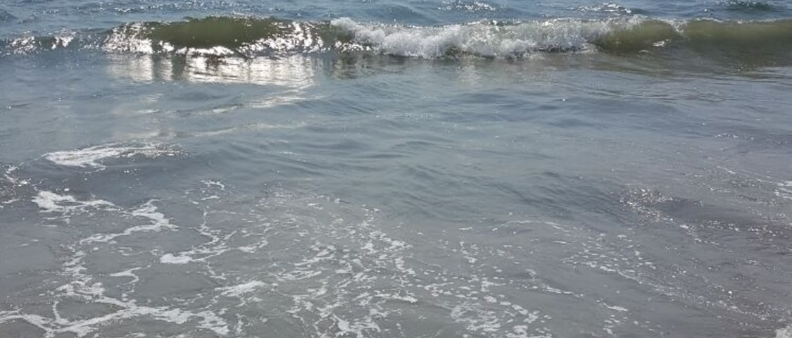 Beach at hacienda buenaventura