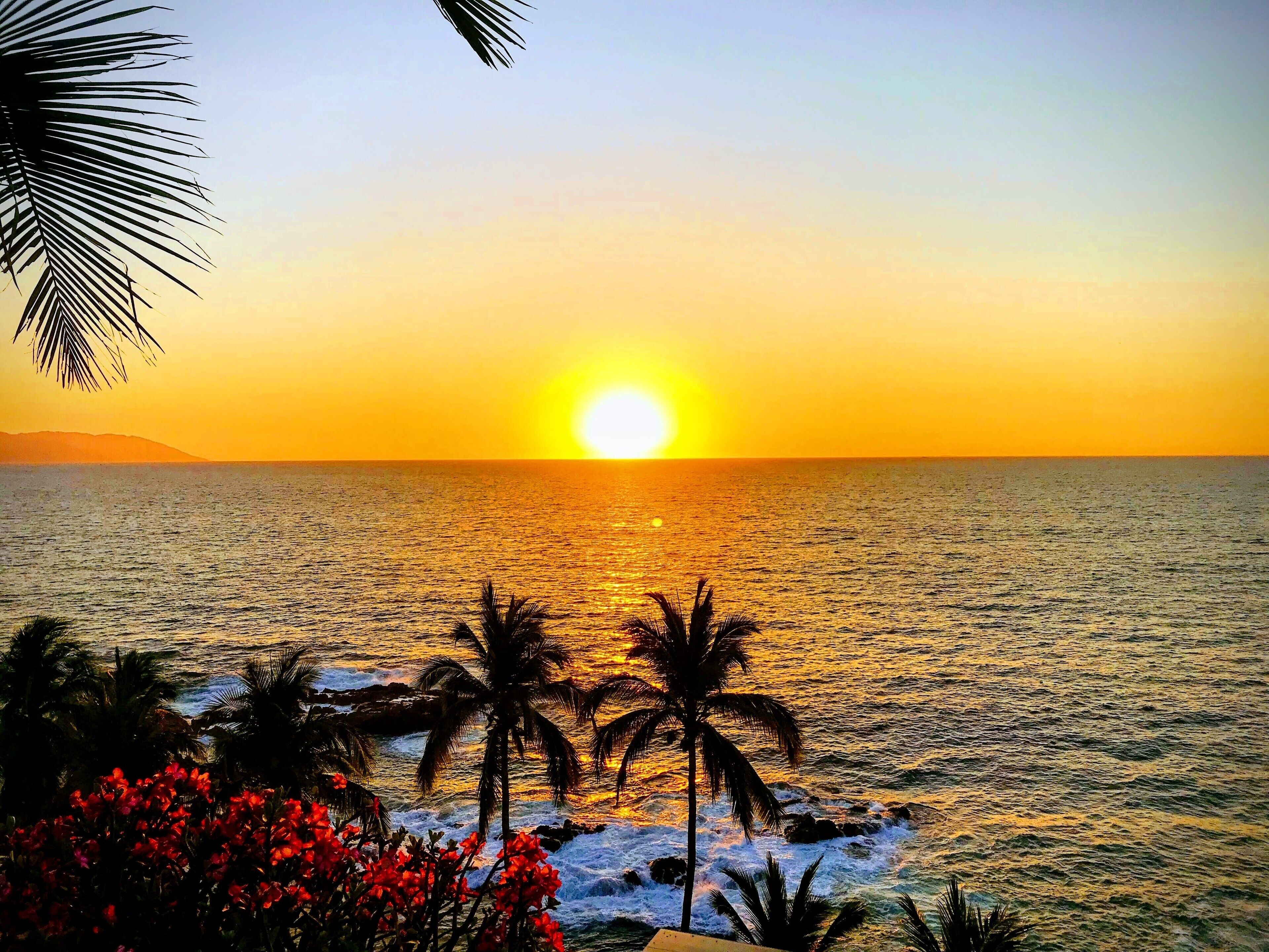 Just another regular day in paradise.... Puerto Vallarta, 🇲🇽 