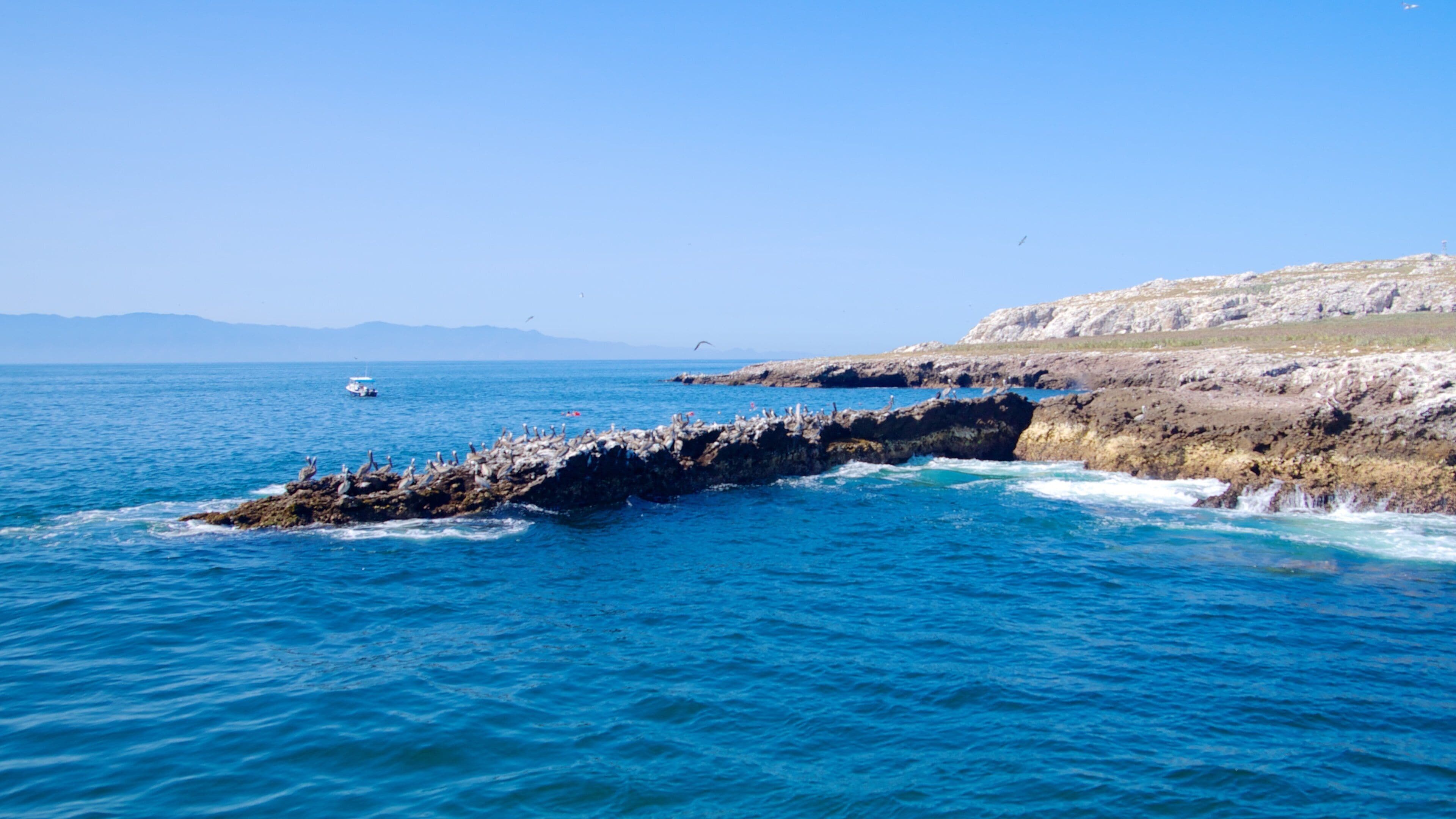 Puerto Vallarta เนื้อเรื่องที่ ชายฝั่งขรุขระ และ วิวทิวทัศน์