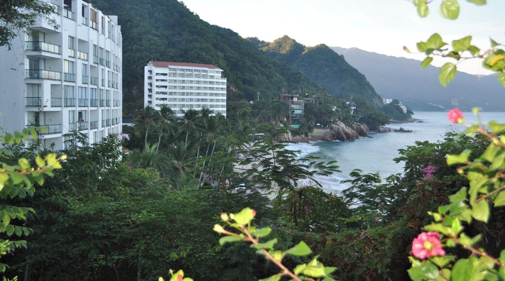 The lovely Dreams Hotel Puerto Vallarta before it got bought out by the Hyatt. I wonder what it looks like now.....