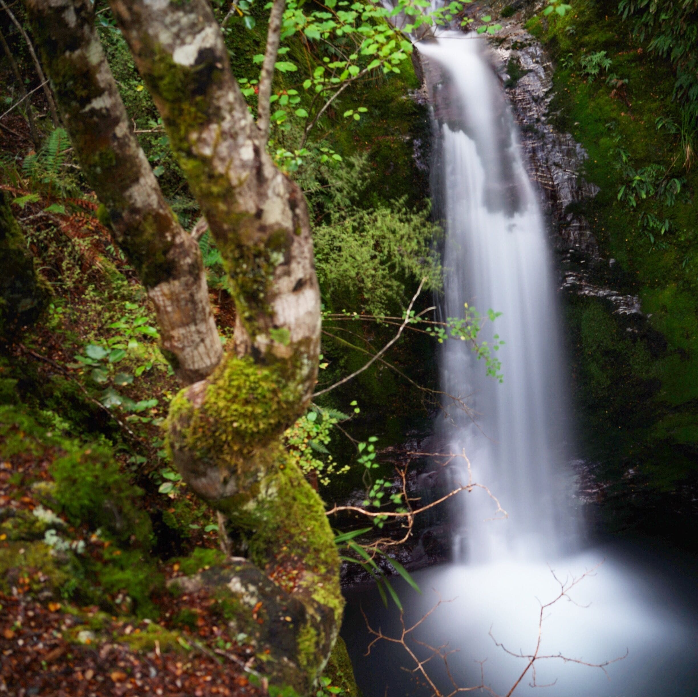 It doesn't take long to go beyond the bustle of Queenstown to escape to a wilderness with waterfalls. 

Only a short drive out of Queenstown on the road to Glenorchy you'll find the 'Mt Crichton' trail, also know to locals as 'Sam Summers Hut'

The walk boasts a historic tunnel down to the river, a very historic gold miners hut and this epic waterfall.

It's about a 2-3hr walk a definitely one the best day walks in the region.

#Queenstown #NewZealand #Green #Waterfall #TakeAhike
