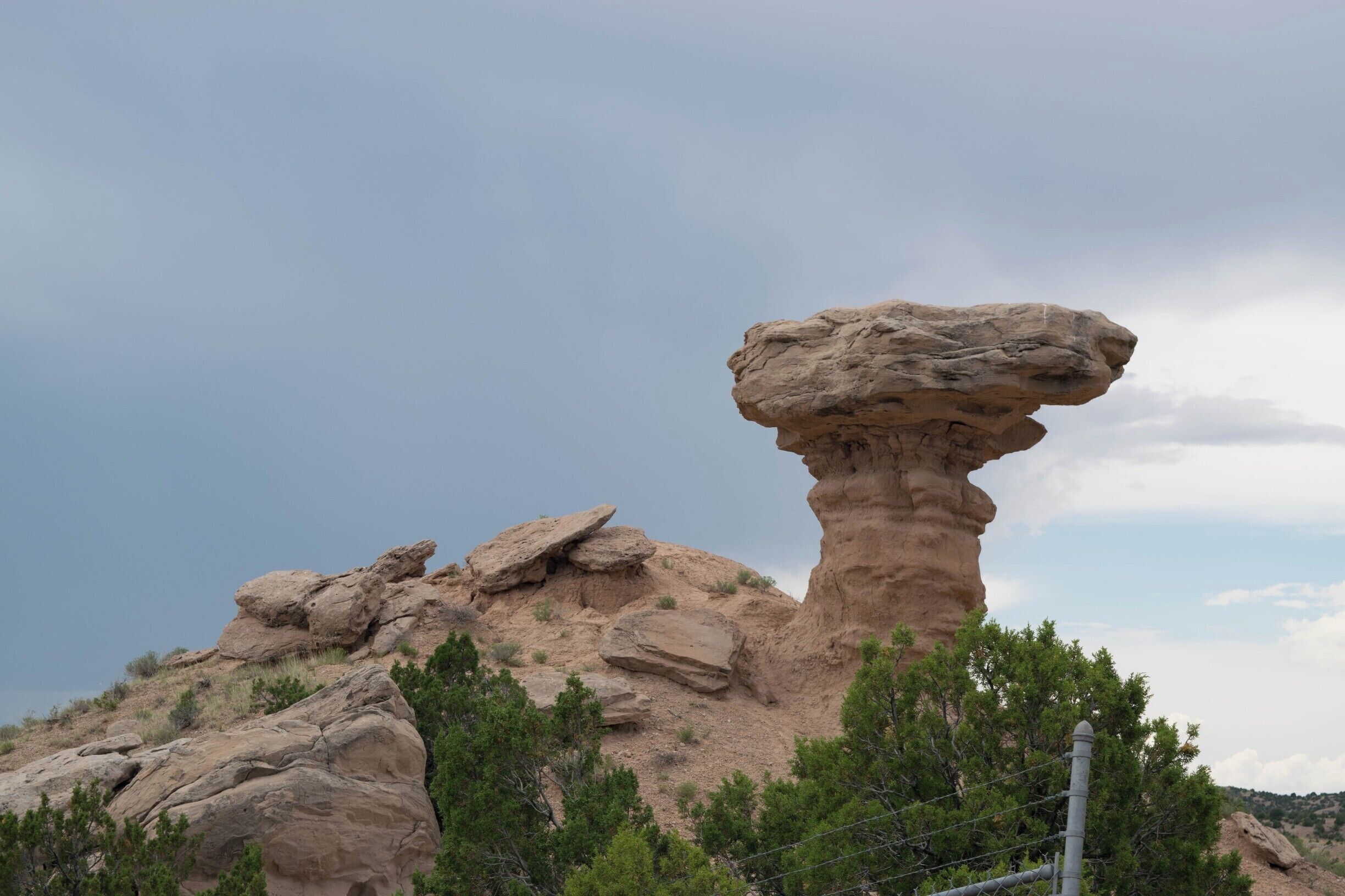 A rock that looks like a Camel. An argument can be made that it looks like a Llama....
What do you think?