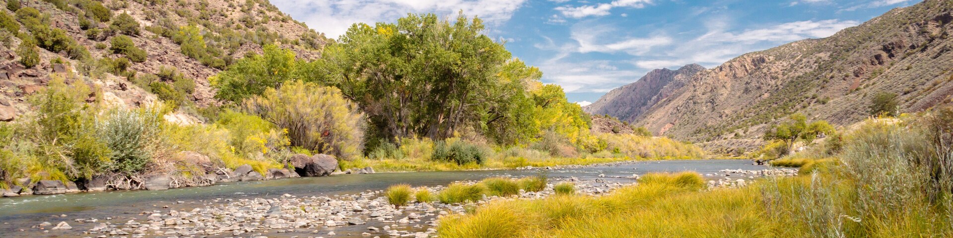 Un río con rocas y vegetación verde en una zona montañosa.