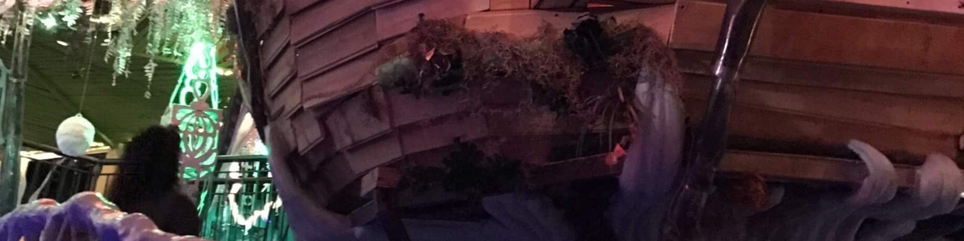 One of a kind destination: art installation meets mystery house. It’s a multi-sensory experience and wonderfully bizarre.