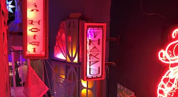 A peak inside Meow Wolf. Love this place!