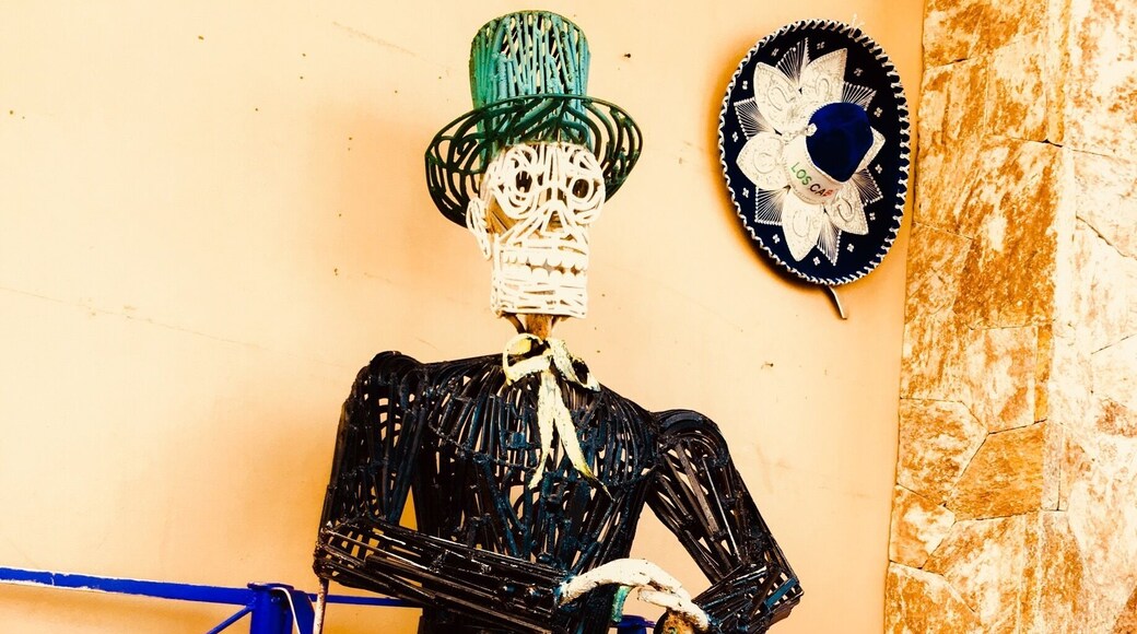 Demon Deacon - waiting for his ship to come in - in front of Dock l-m-n Cabo marina