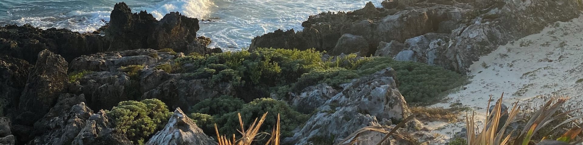 â€ïžâ€ïžâ€ïž