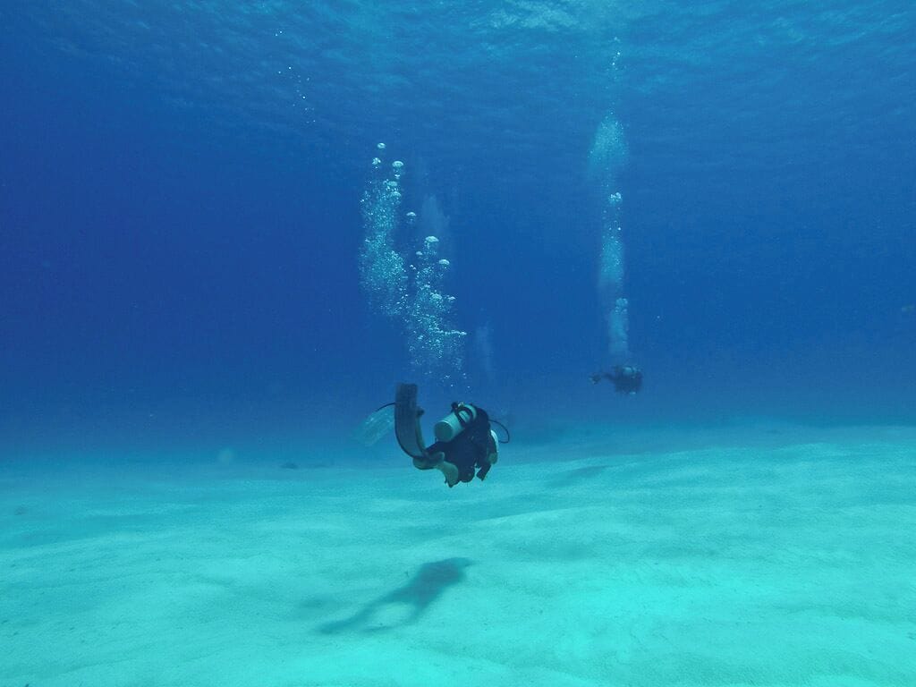 Scuba diving with Deep Exposure in Cozumel was a fantastic experience. Our divemaster Roger was helpful, friendly, and enthusiastic! We saw some awesome underwater life that we hadn't seen before and even swum through tunnels!