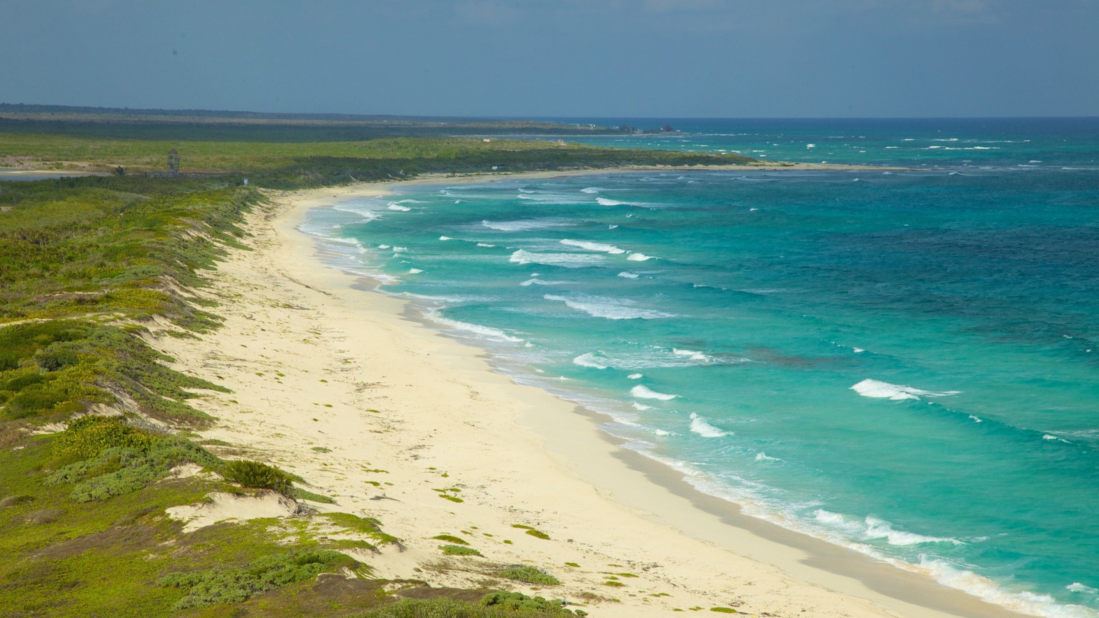Cozumel ofreciendo vistas de paisajes, escenas tropicales y una playa