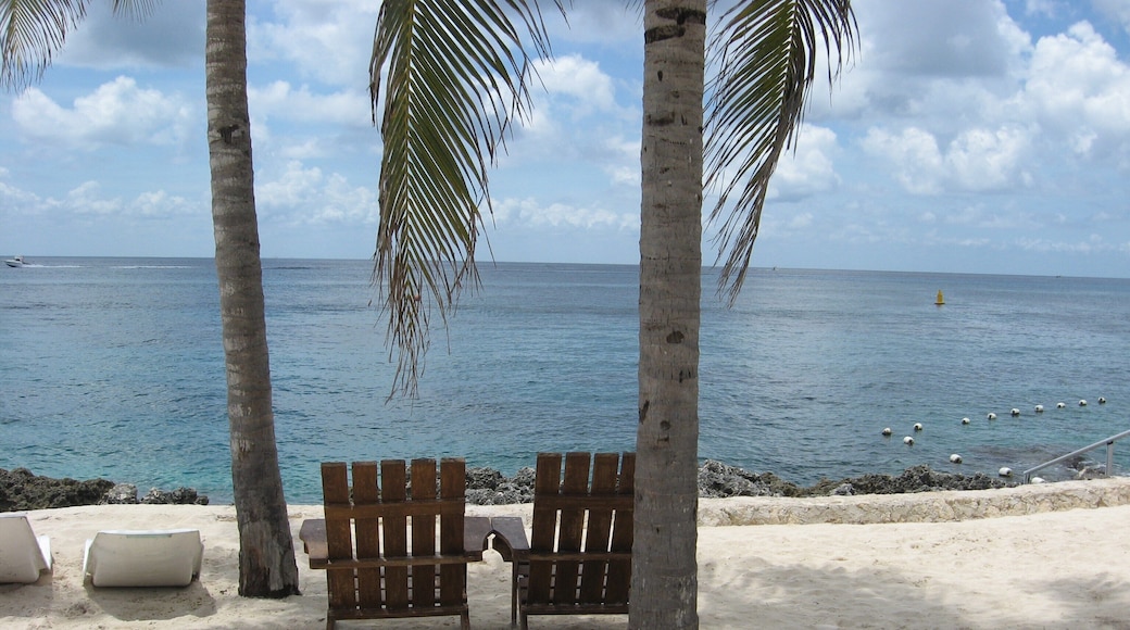 National Park with a variety of other things to do... swim with dolphins, snorkel, learn history or just sit and relax on the beach, under a swaying palm tree and relax. Very relaxing place to visit. Not crowded at all during the weekday. Only a handful of others. #BeachTips