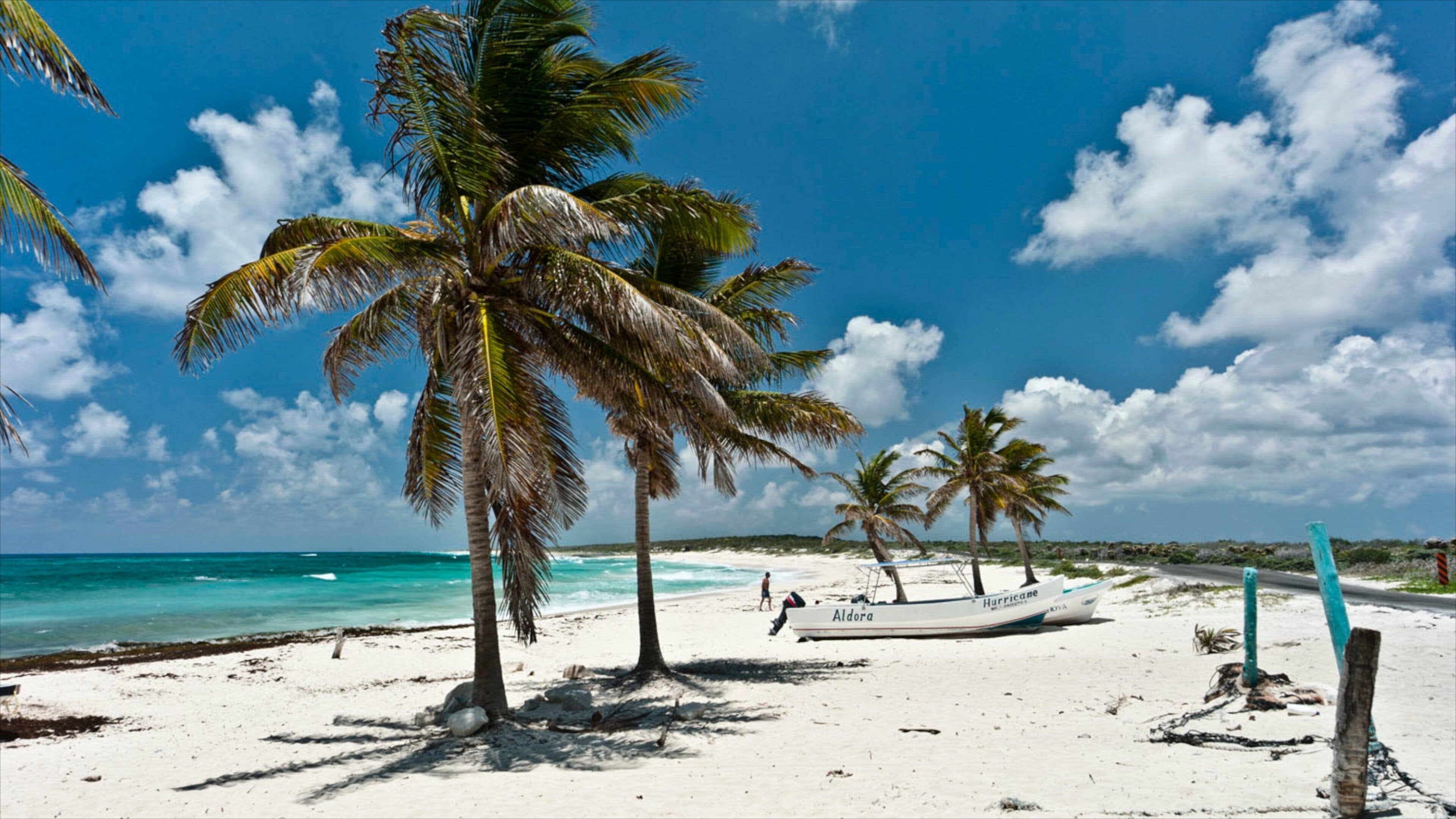 Una playa con palmeras, un barco llamado 'Aldora' y aguas turquesas cristalinas.