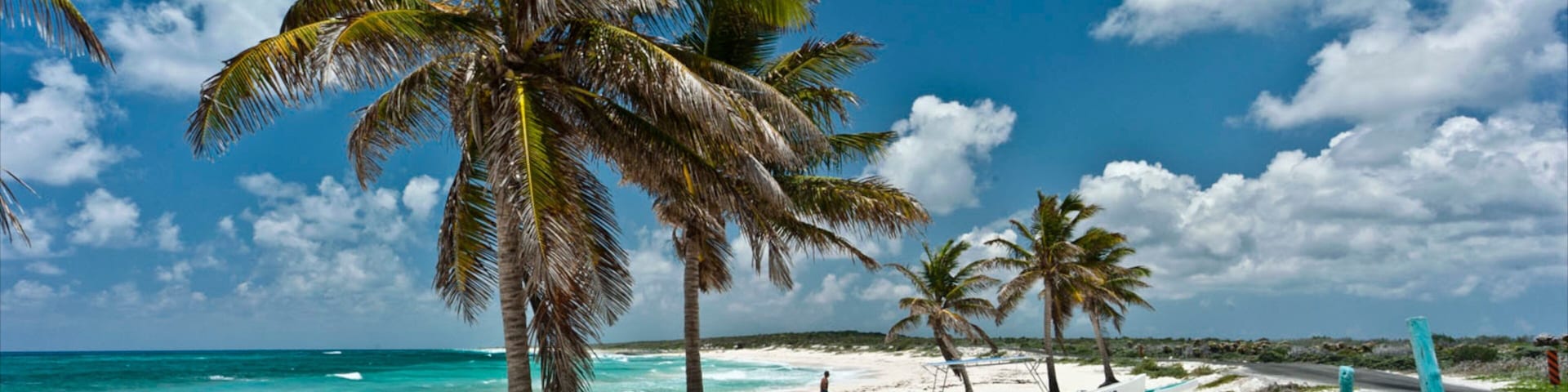 Una playa con palmeras, un barco llamado 'Aldora' y aguas turquesas cristalinas.
