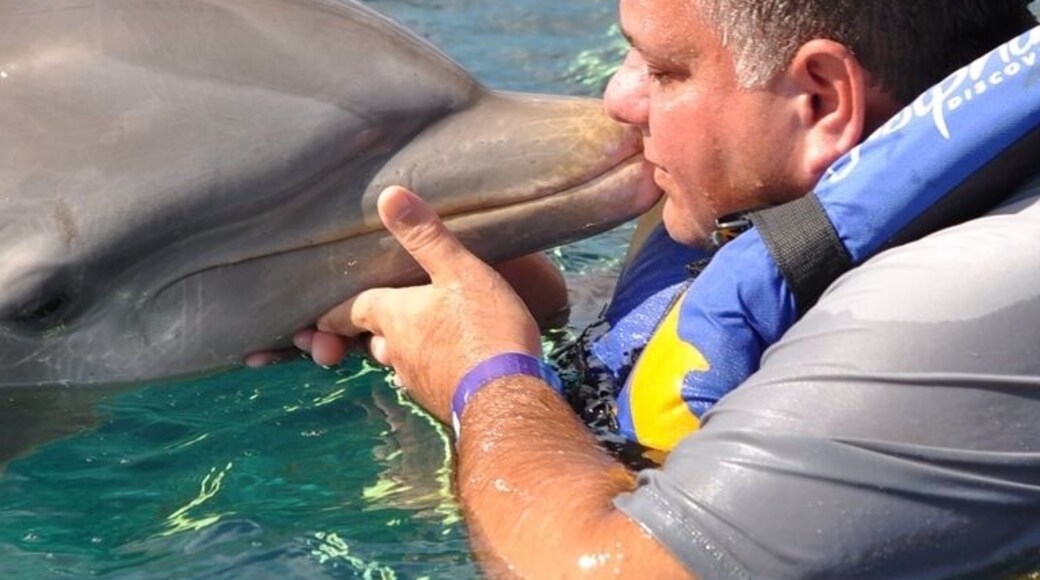 Big Kiss for a Dolphin!!
